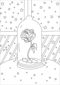 La rose de belle