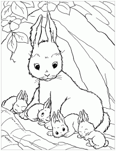 Coloriage De Lapin à Colorier Pour Enfants