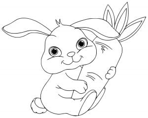 Bébé Lapin