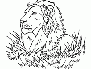 Coloriage enfant lion 3 1