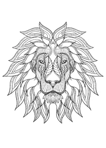 Tête De Lion De Face