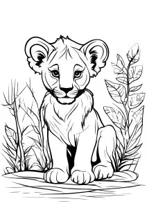 Lionceau Au Regard Intense