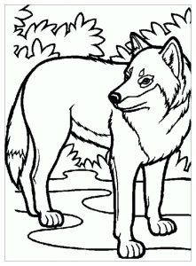 Enfant Loup