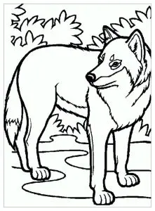 Enfant Loup