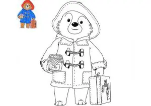 Ours paddington 15