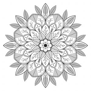 Mandala Avec Feuilles Et Fleurs