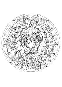 Tête De Lion
