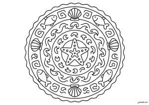 Monde marin symétrique