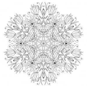 Fleurs élégantes