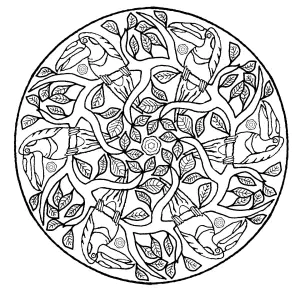 Perroquets Et Feuilles