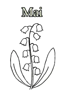 05 Mai