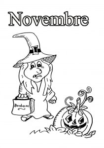 11 Novembre