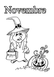 11 Novembre