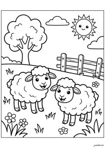 Deux moutons dans une prairie ensoleillée