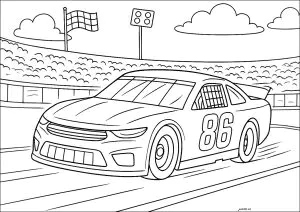 Voiture Nascar avec la foule en fond