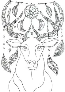 Cerf Attrape Rêve