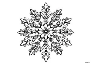Joli flocon de neige