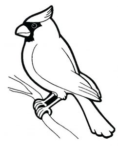 Oiseau Perché
