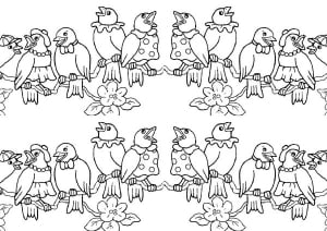 Oiseaux