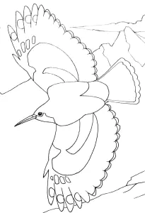 Oiseau En Plein Vol