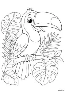 Toucan joyeux dans la jungle