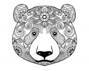 Tête D'ours