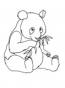 Coloriage De Panda à Imprimer Pour Enfants