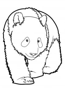 Coloriage de panda à telecharger gratuitement