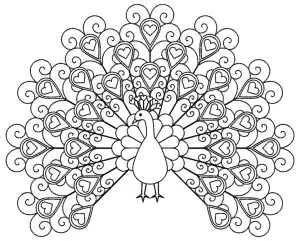 Coloriage De Paon Pour Enfants