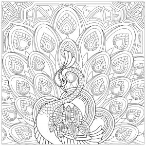 Coloriage De Paon Pour Enfants