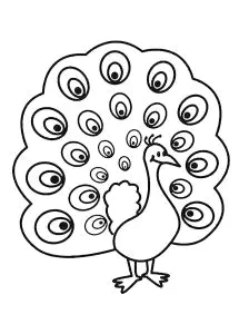 Coloriage De Paon à Imprimer