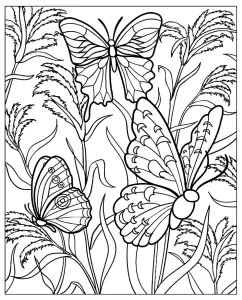 Coloriage De Papillons à Telecharger Gratuitement