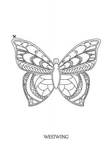 Découpage Coloriage Papillon