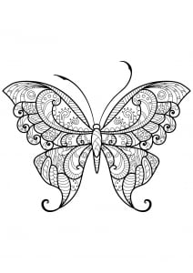 Dessin De Papillons Gratuit à Imprimer Et Colorier