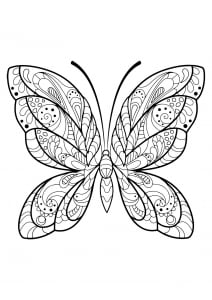 Image De Papillons à Imprimer Et Colorier