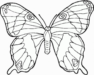 Coloriage De Papillons Pour Enfants