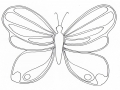 Coloriage De Papillons Gratuit à Colorier