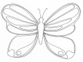 Coloriage de Papillons gratuit à colorier