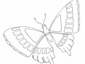 Coloriage de Papillons gratuit à colorier