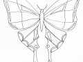 Dessin De Papillons Gratuit à Imprimer Et Colorier