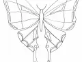 Dessin De Papillons Gratuit à Imprimer Et Colorier