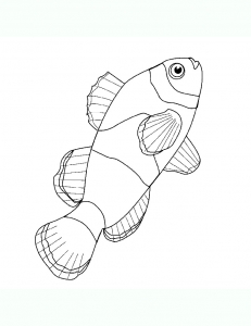 Image De Poissons à Imprimer Et Colorier