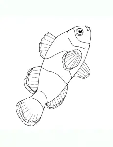 Image De Poissons à Imprimer Et Colorier