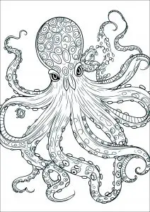 Pieuvre Effrayante