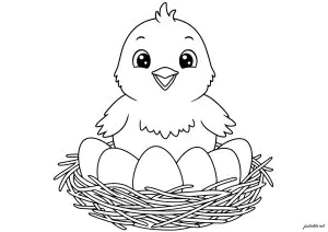 Joyeux Poussin Dans Son Nid