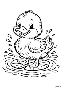 Un poussin heureux à l'aventure