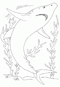 Coloriage de requin à imprimer pour enfants