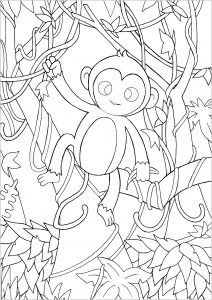 Singe Dans La Forêt