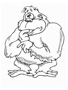 Coloriage De Singe Pour Enfants