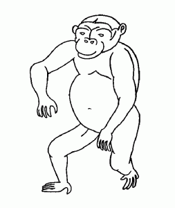 Coloriage de singe à imprimer pour enfants